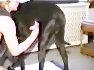 Dog Gralsex - Animal sex - American girls fuck dog - ZoofiliaLovers - Videos de Zoofilia