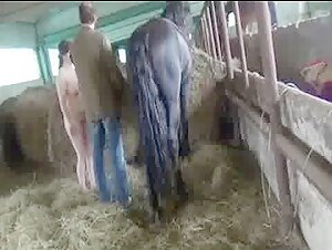 Woman Fucked By Horse Hard - Black Horse fuck a Girl hard - ZoofiliaLovers - Videos de Zoofilia