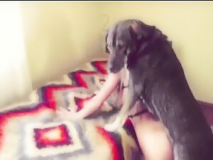 Pretty gal gets fucked by a dog