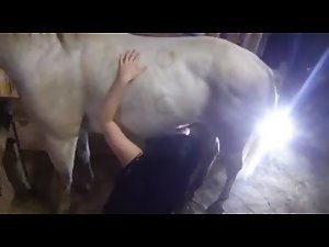 Vix and Lady Wolf - White Stallion pleasure