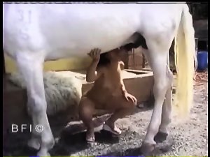 BFI - Horse fucking beautiful brunette